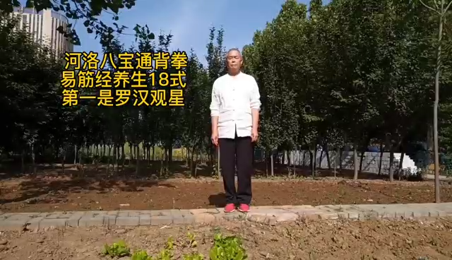 河洛八寶通背拳之羅漢觀星